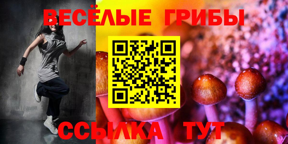 Галлюциногенные грибы GOLDEN TEACHER  Вход с VPN  Владимир  Галлюциногенные грибы Psilocybe 